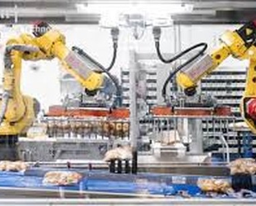 Food Processing Automation